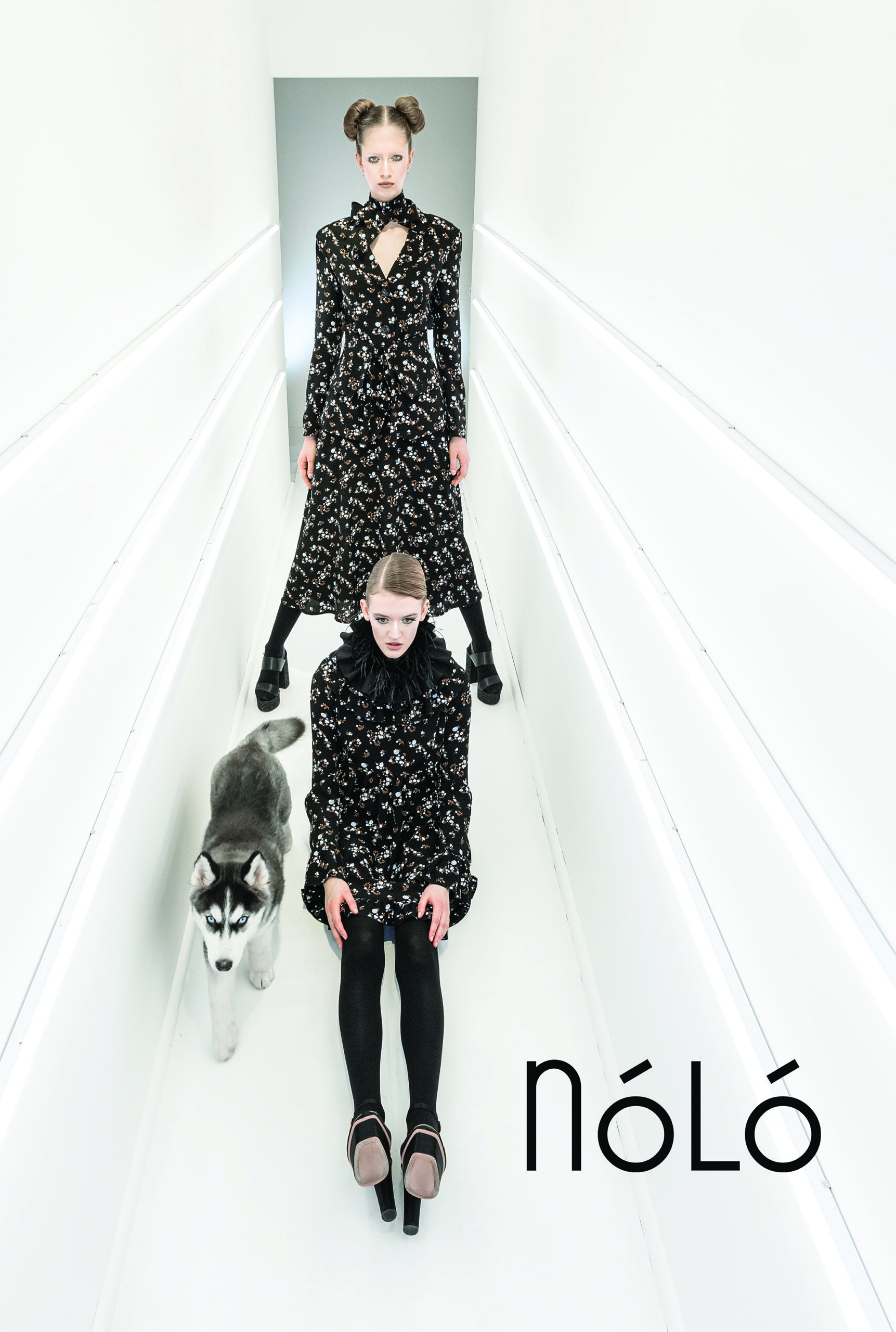 NOLO (3)